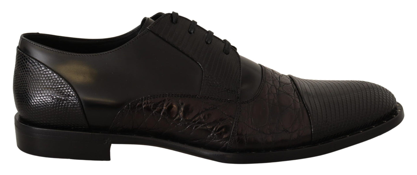 Dolce & Gabbana Elegant Black Derby Oxford Wingtips EU39 / US6