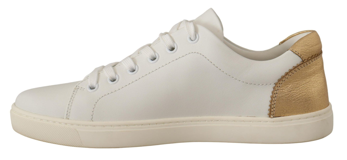 Dolce & Gabbana Elegant White Leather Sneakers with Gold Accents EU35 / US4.5