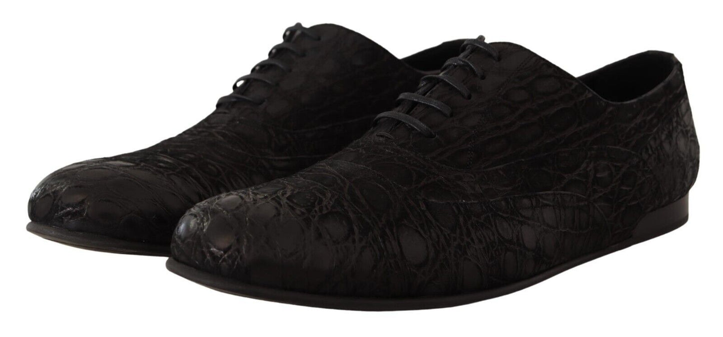 Dolce & Gabbana Elegant Exotic Leather Oxford Shoes EU44 / US11