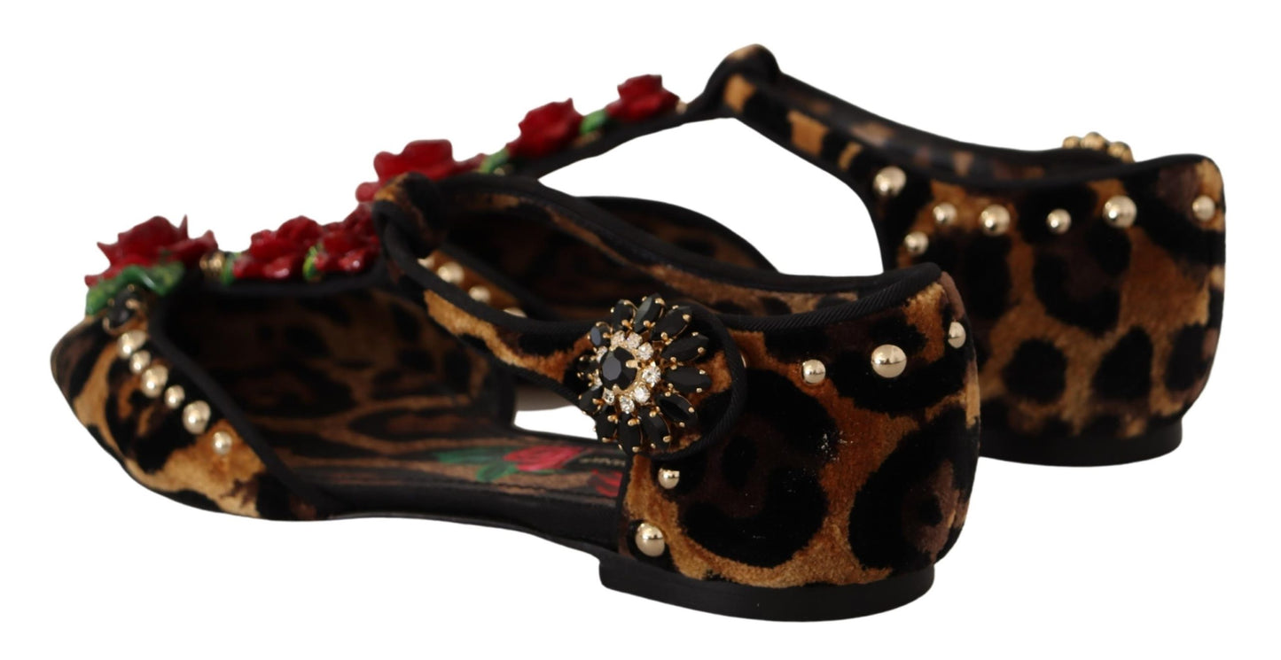 Dolce & Gabbana Floral Embellished Leopard T-Strap Sandals EU35 / US4.5