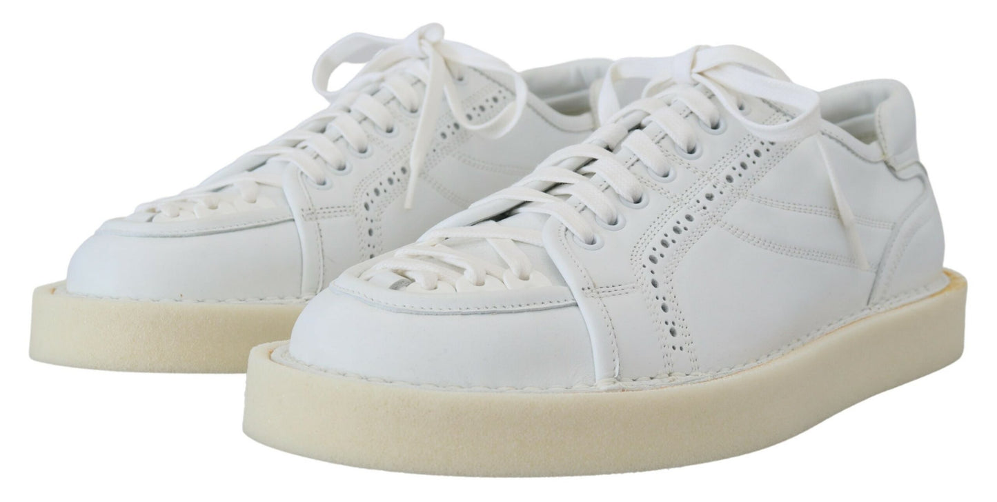 Dolce & Gabbana Elegant White Low Top Oxford Sneakers EU43.5 / US10.5