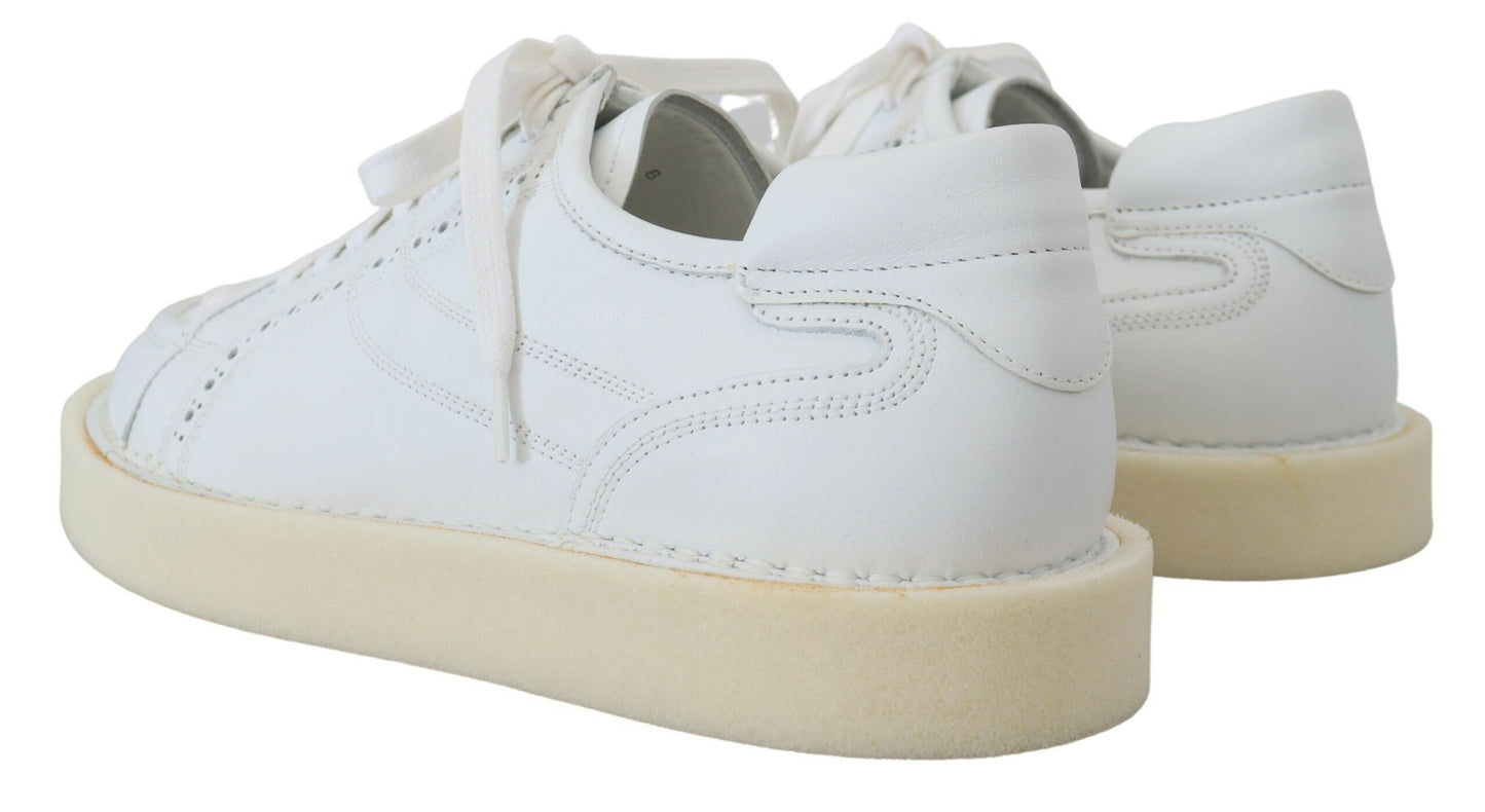 Dolce & Gabbana Elegant White Low Top Oxford Sneakers EU43.5 / US10.5