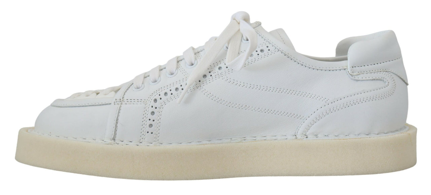 Dolce & Gabbana Elegant White Low Top Oxford Sneakers EU43.5 / US10.5