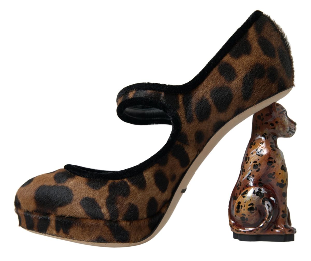 Dolce & Gabbana Elegant Leopard Heel Pumps for Chic Sophistication EU35.5 / US5