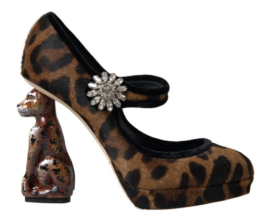 Dolce & Gabbana Elegant Leopard Heel Pumps for Chic Sophistication EU35.5 / US5