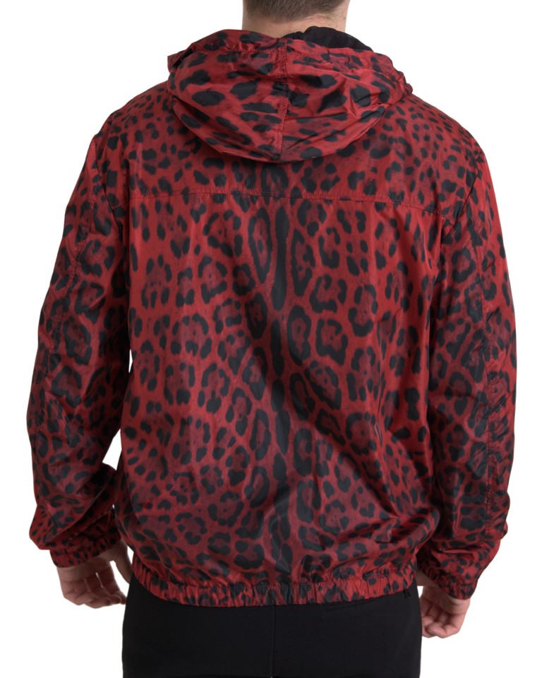 Dolce & Gabbana Red Leopard Hooded Bomber Jacket IT48 / M