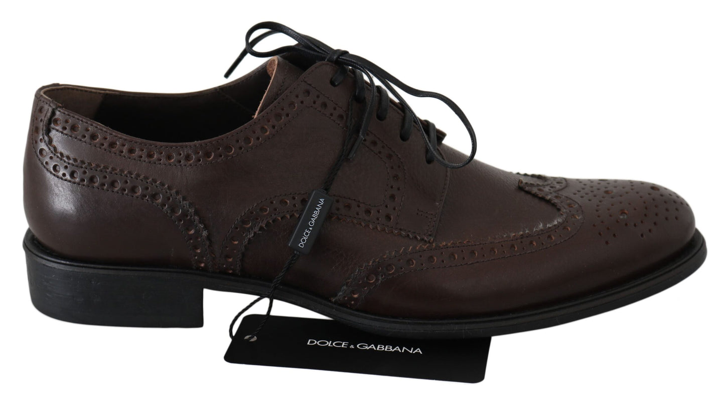 Dolce & Gabbana Elegant Brown Leather Derby Brogues EU44.5 / US11.5