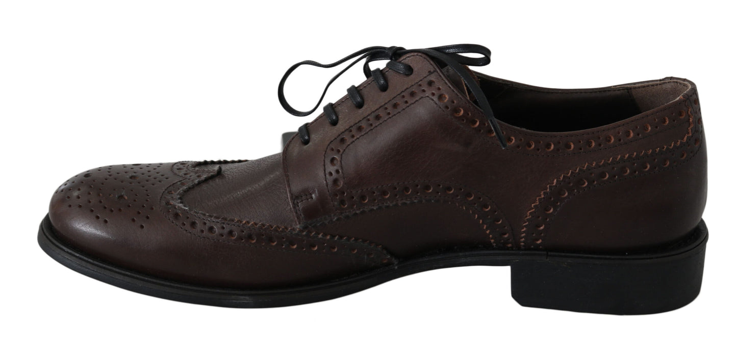 Dolce & Gabbana Elegant Brown Leather Derby Brogues EU44.5 / US11.5