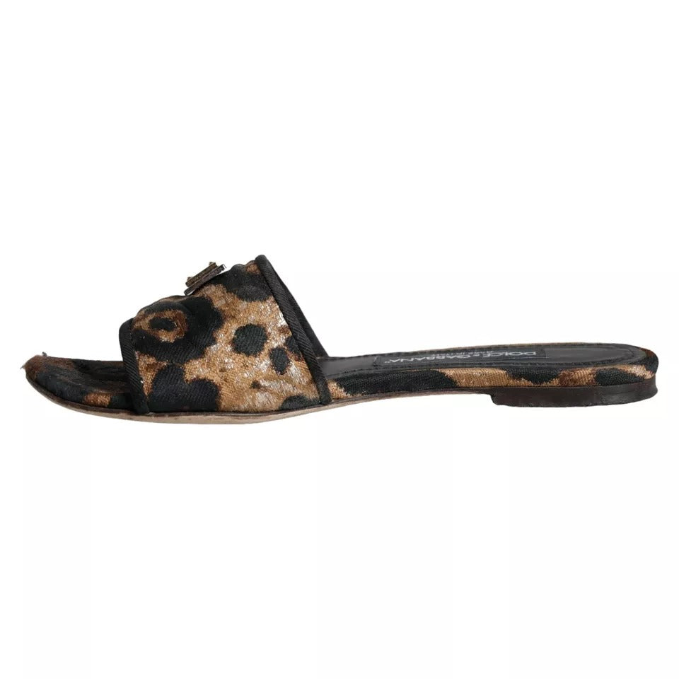 Dolce & Gabbana Brown Leopard Logo Slides Flats Sandals Shoes EU36 / US5.5