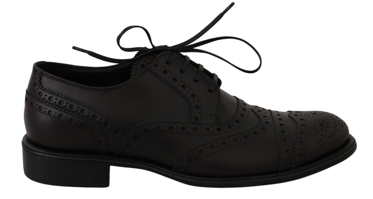 Dolce & Gabbana Elegant Bordeaux Wingtip Derby Dress Shoes EU39 / US6